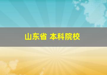 山东省 本科院校